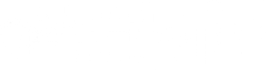 VizVis 3D Concepts